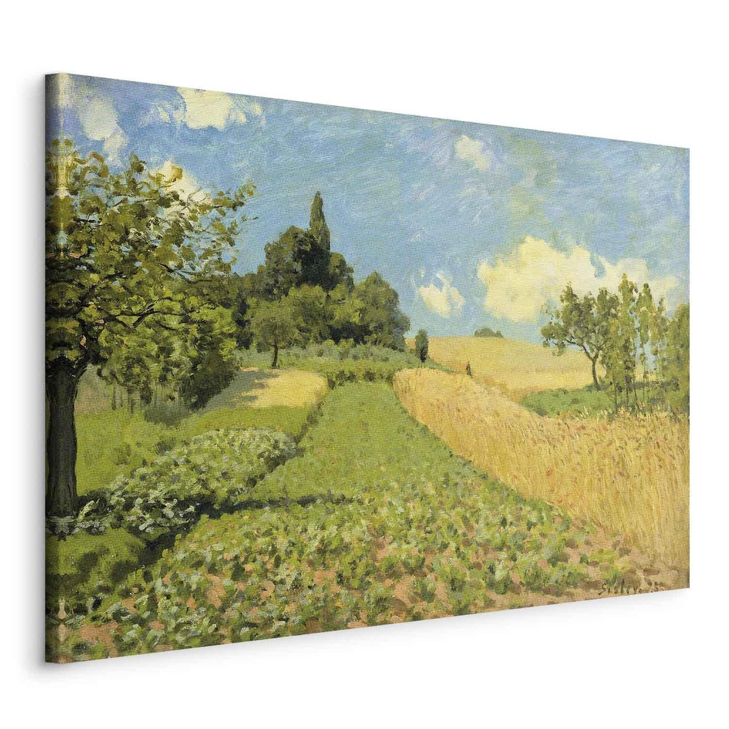 Kornåkeren (nær Argenteuil) (Alfred Sisley)