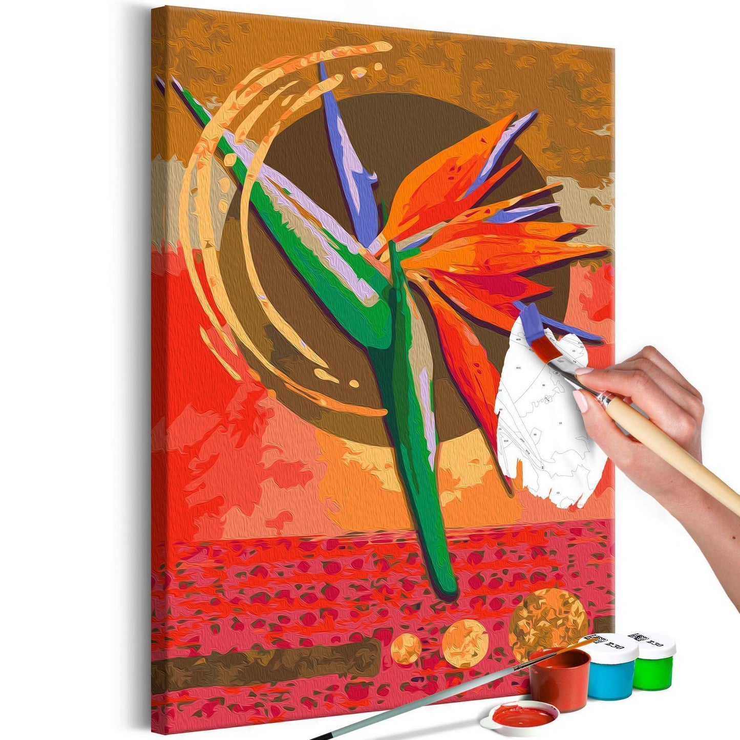 Strelitzia