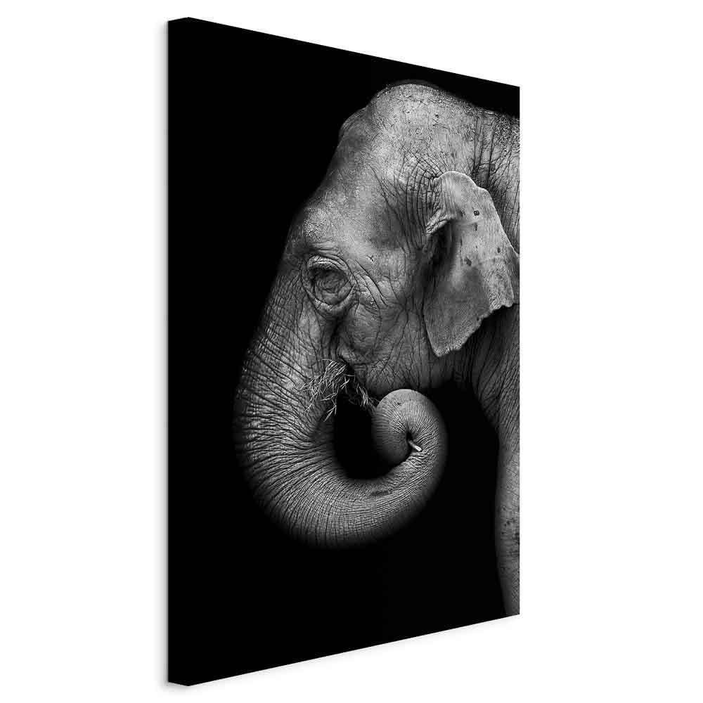 Portrett av en elefant (1 del) Vertikal