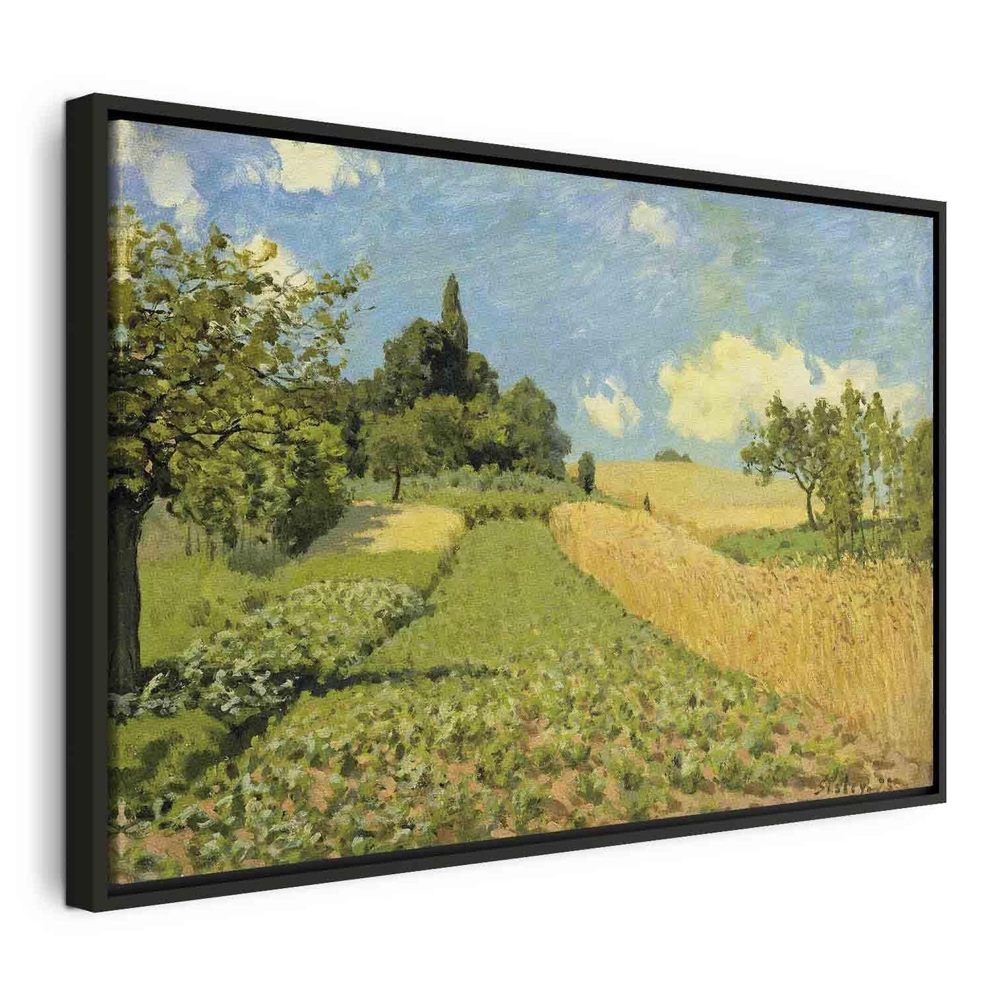 Kornåkeren (nær Argenteuil) (Alfred Sisley)