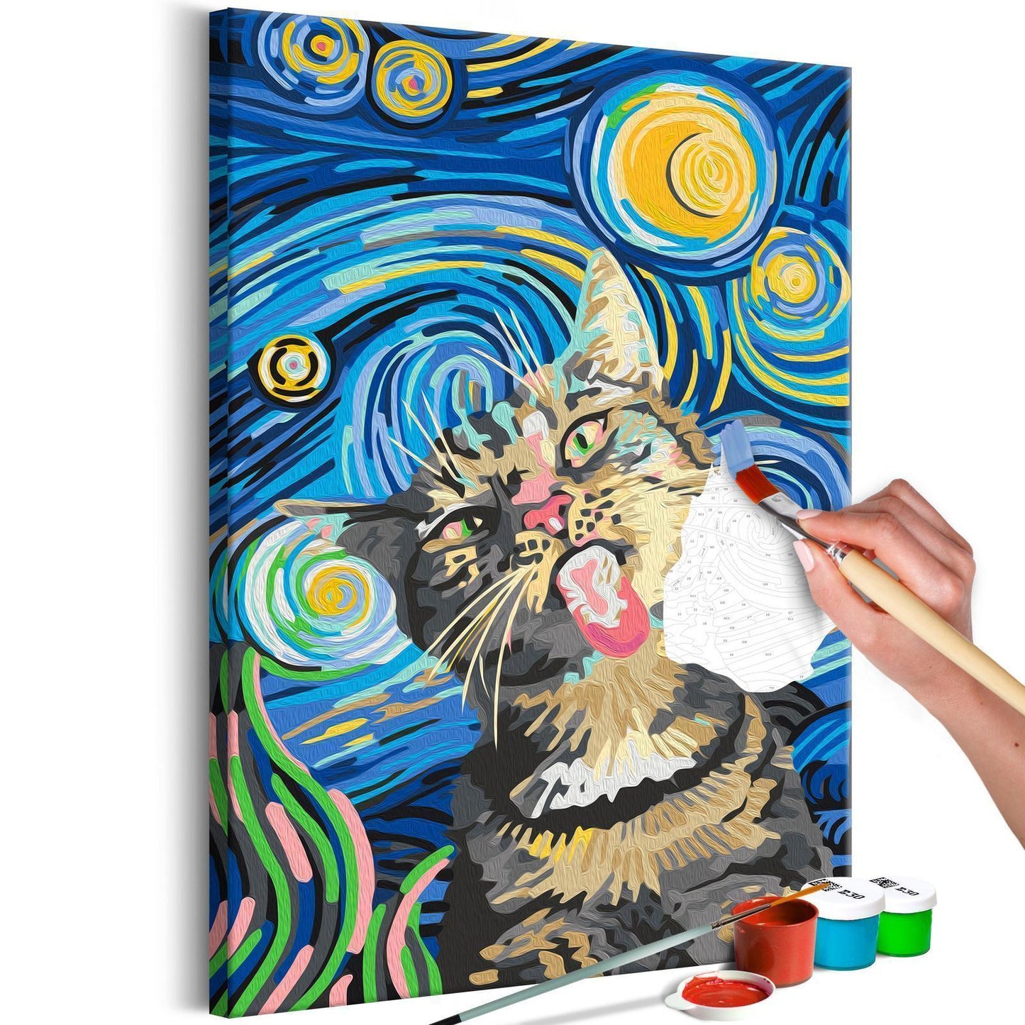 Sær katt