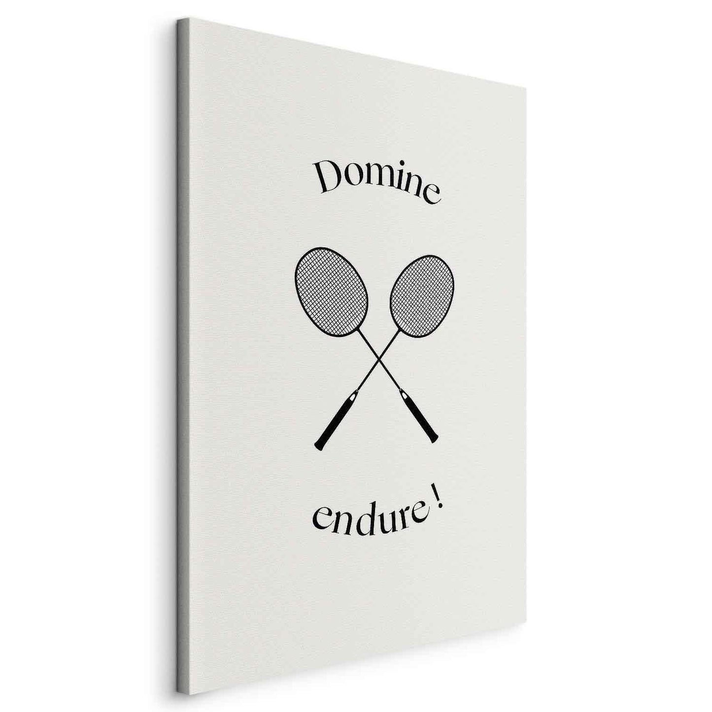 Svarte badmintonracketer