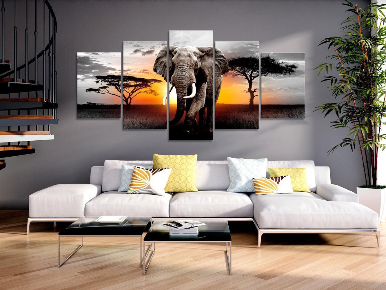 Elefant ved solnedgang