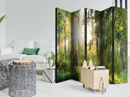 Den utemmede naturen II