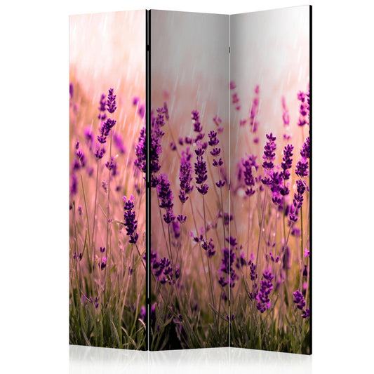 Lavendel i regnet
