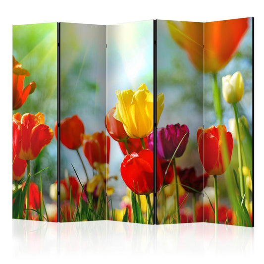 Vårens tulipaner II