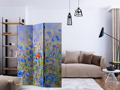 En himmelfarget eng - Kornblomster