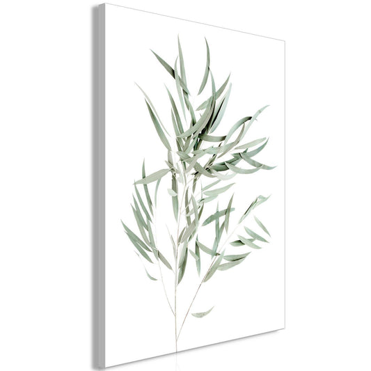 Nicholia Eucalyptus (1 del) Vertikal