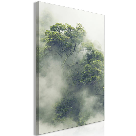Tåkete Amazonas (1 del) Vertikal