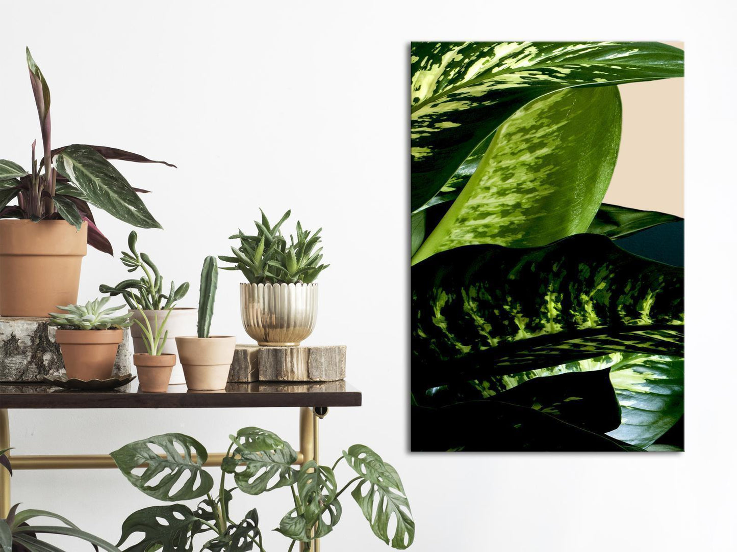 Dieffenbachia (1 del) Vertikal