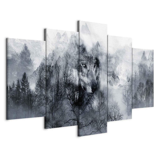 Fjellrovdyr (5 deler) Bred