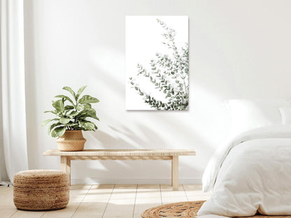 Eucalyptus Parvifolia (1 del) Vertikal