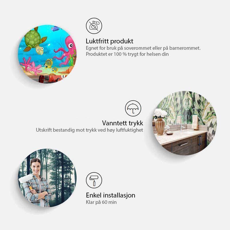 Verdenskartet: Moderne geografi
