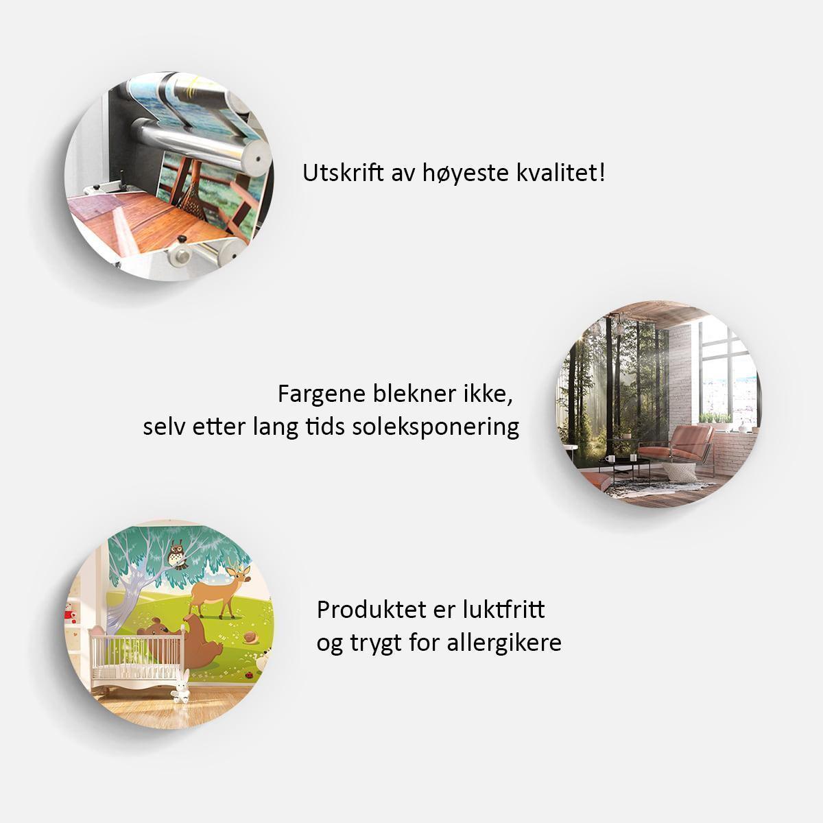 Verdenskartet: Hvite hav