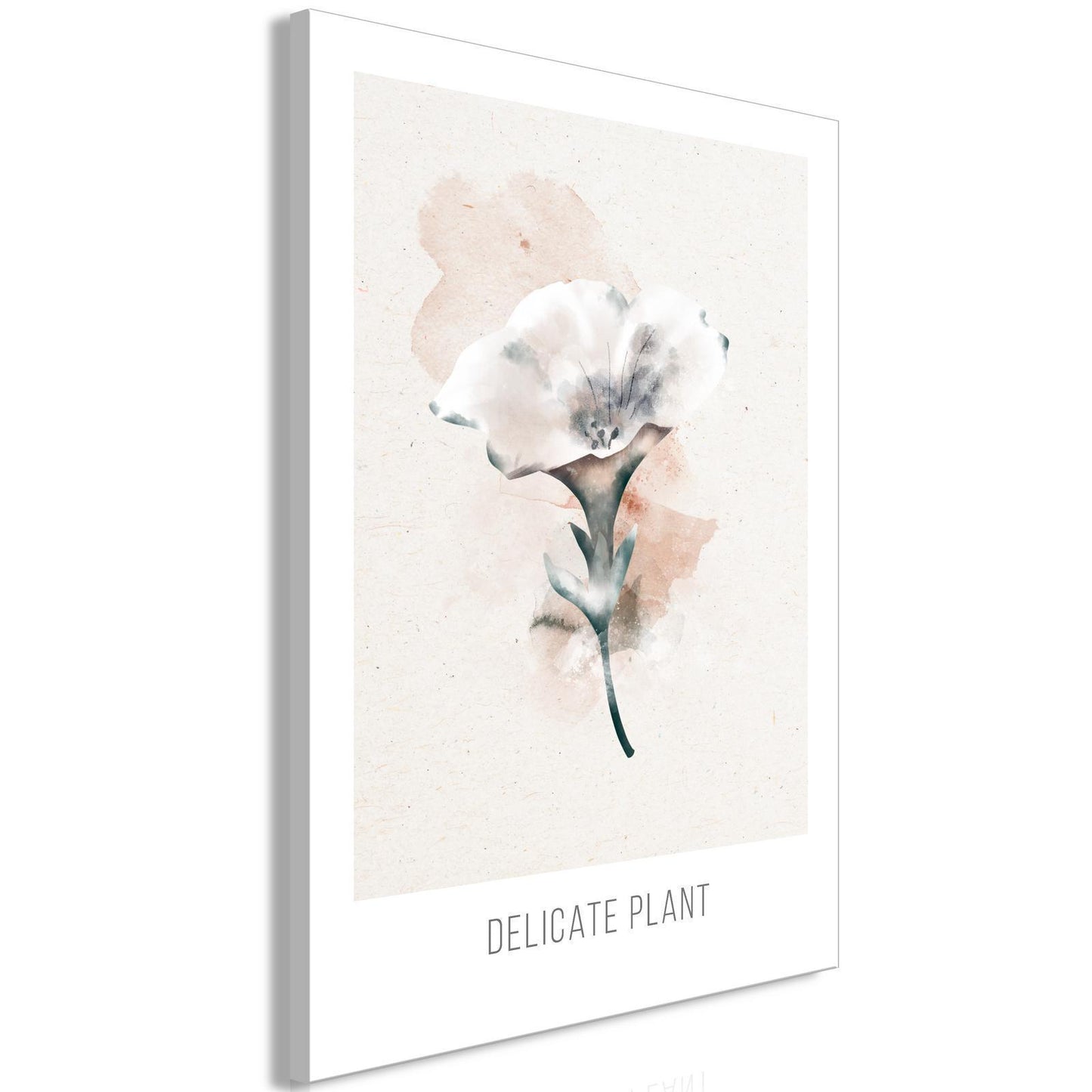 Delikat plante (1 del) Vertikal