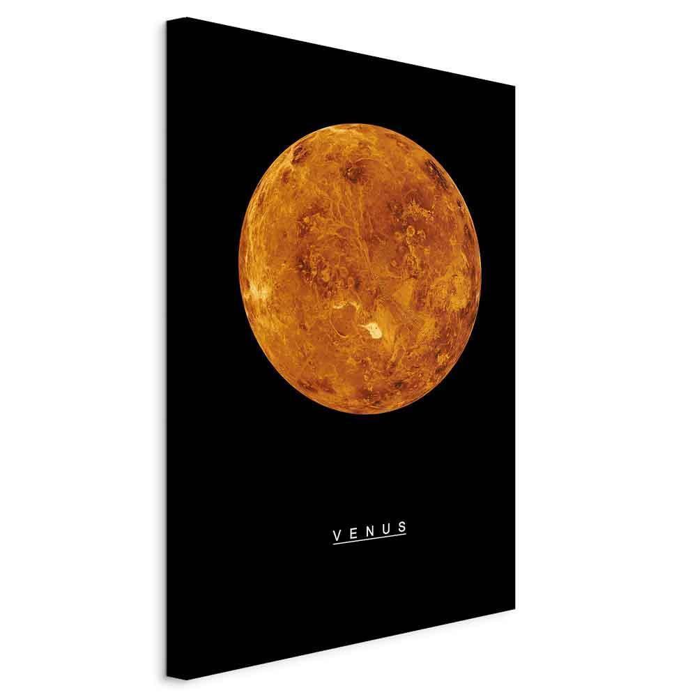 Venus (1 del) Vertikal