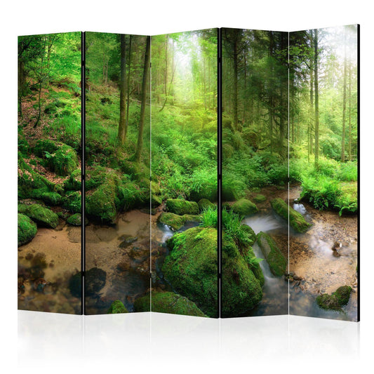 Den fuktige skogen II