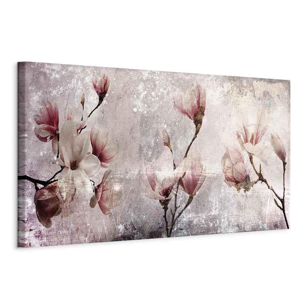 Magnolia sjarm (1 del) Smal