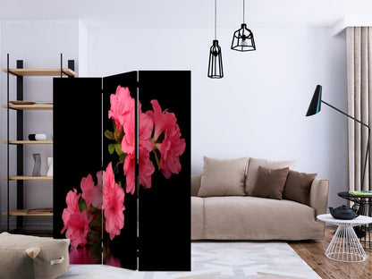 Azalea i svart