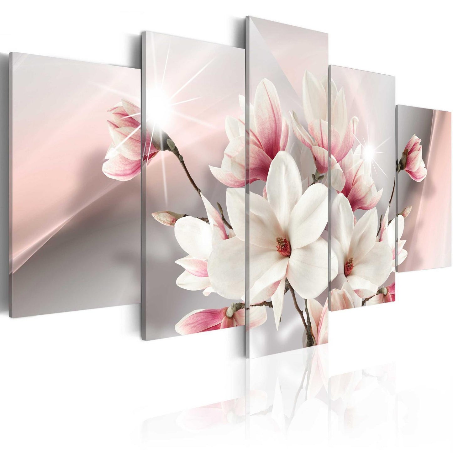 Magnolia i blomstring