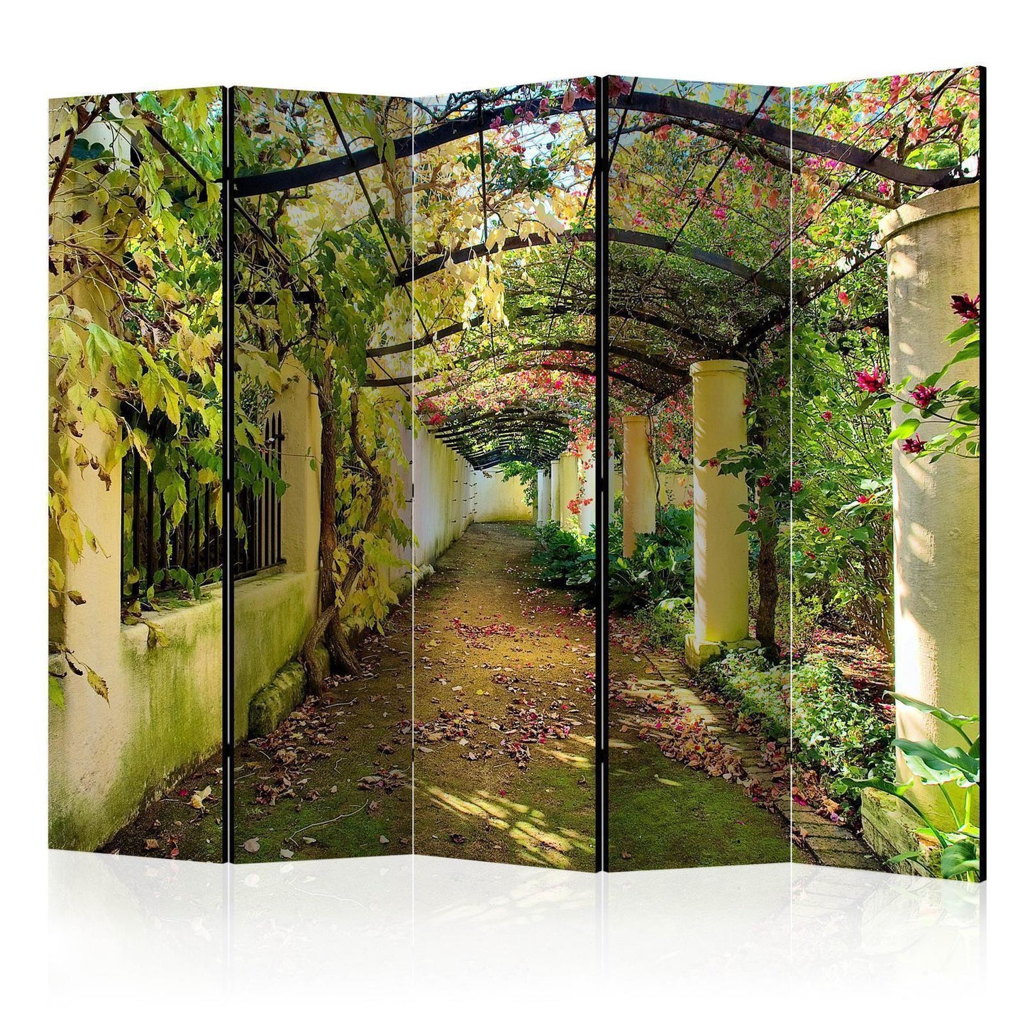 Pergola II