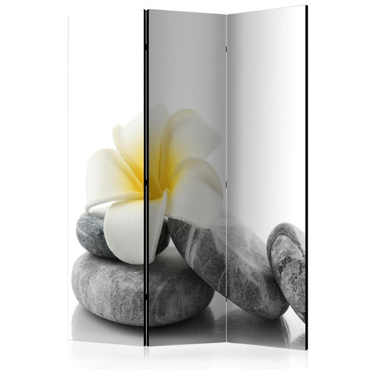 Hvit lotus
